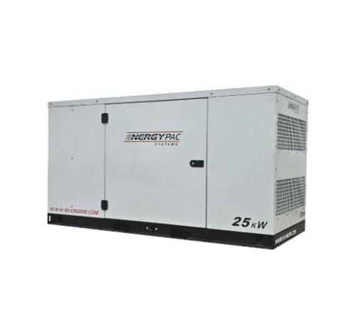 Picture of ML25PHRNG-SS-EP